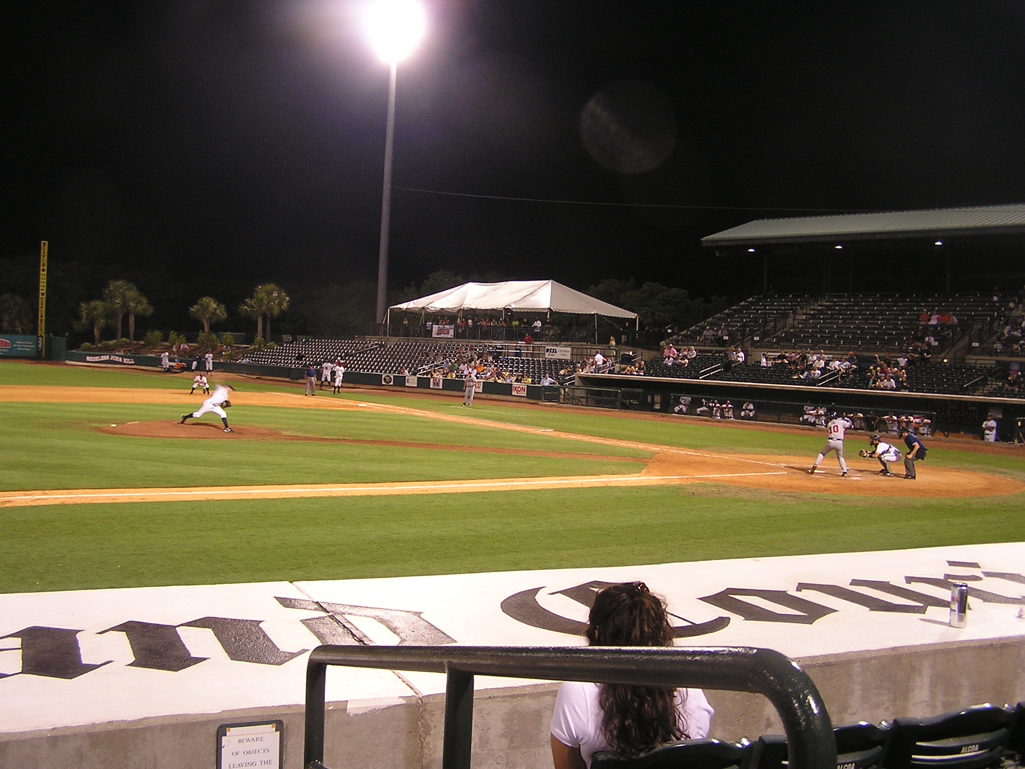 The pitch - Joseph P. Riley Park, Charleston SC